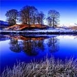 Avatar de Esteban Cornejo